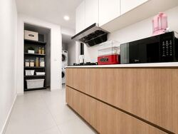 The Visionaire (D27), Condominium #576200321